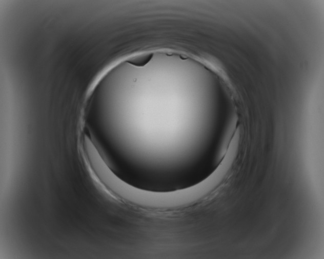 X0000083061524200703022122