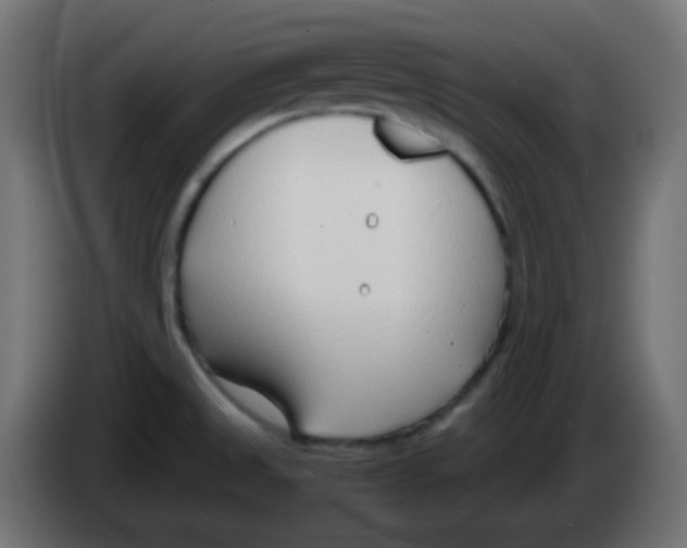 X0000083061525200703022122