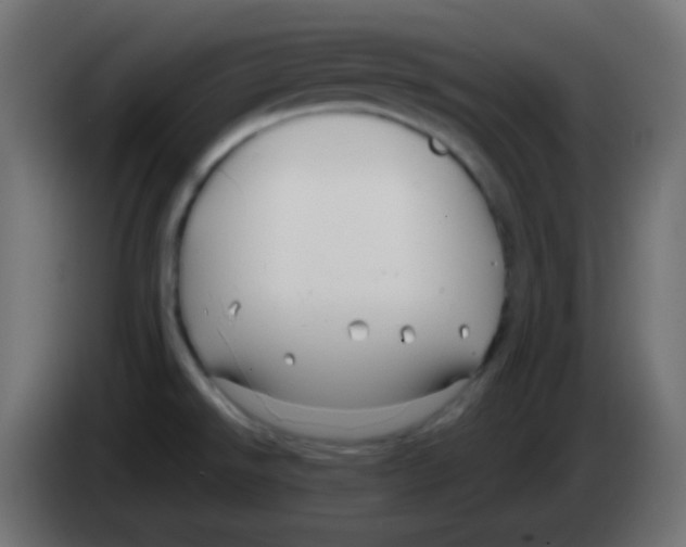 X0000083061526200703022122