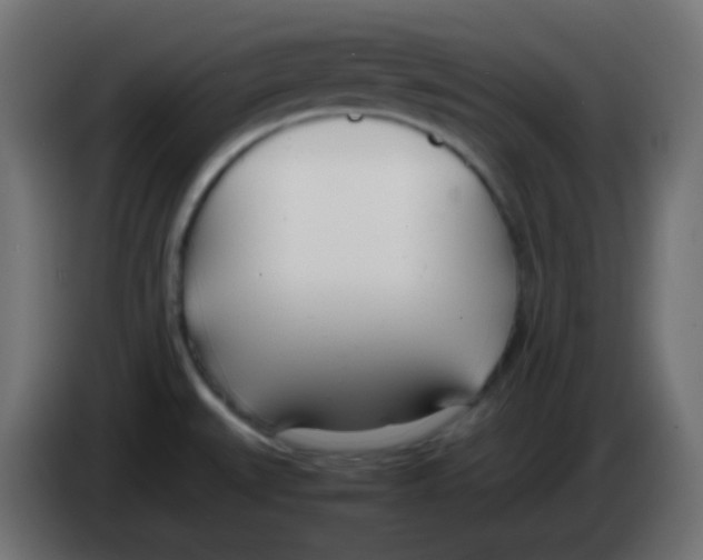 X0000083061527200703022122