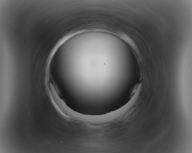 X0000083061528200703022122