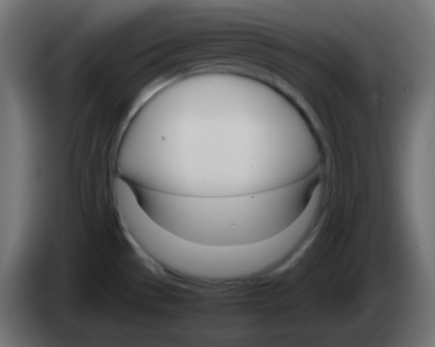 X0000083061529200703022122