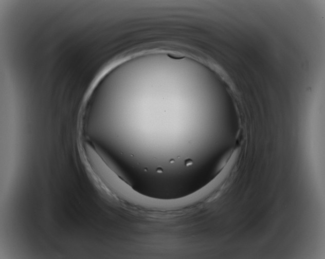 X0000083061530200703022122