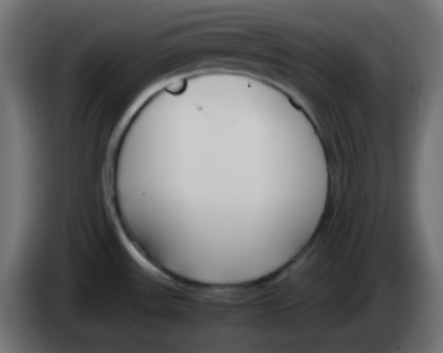 X0000083061531200703022122