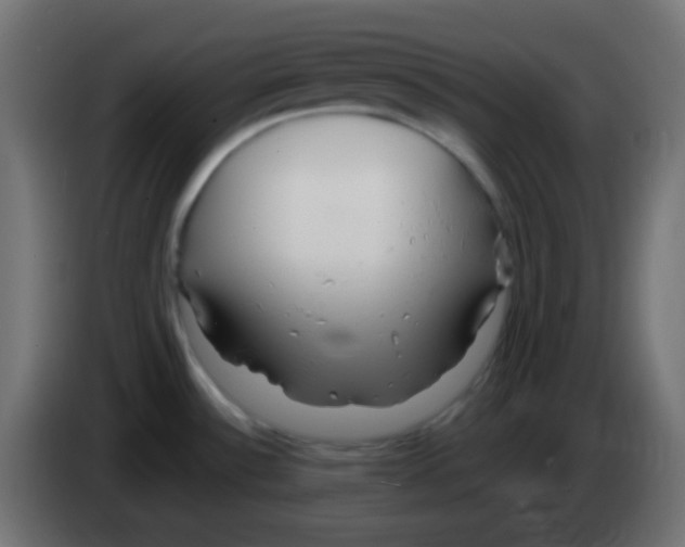 X0000083061532200703022122