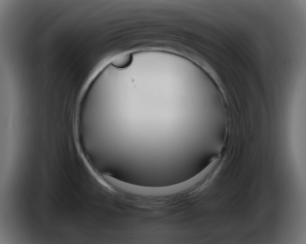 X0000083061533200703022122