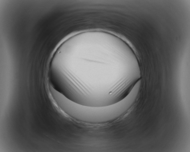 X0000083061534200703022122