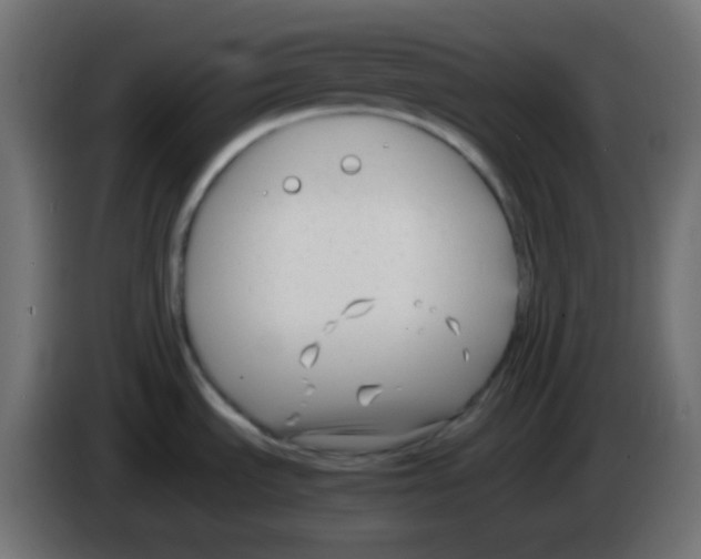 X0000083061535200703022122