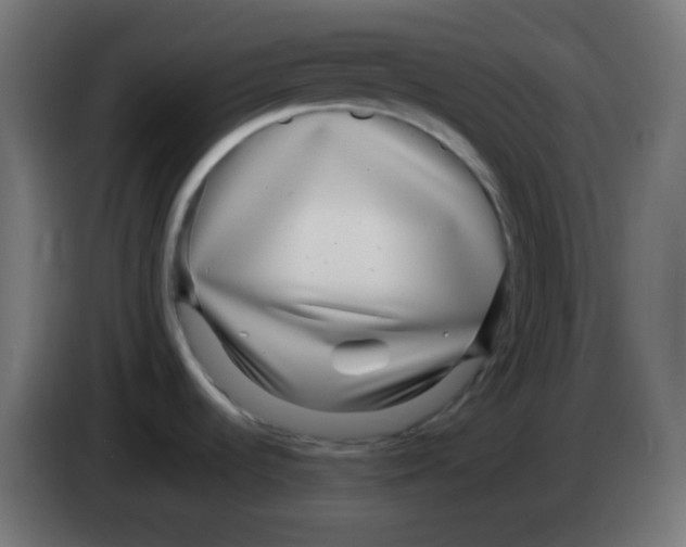 X0000083061536200703022122