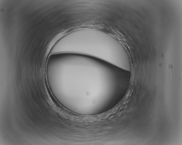 X0000083070003200702021022
