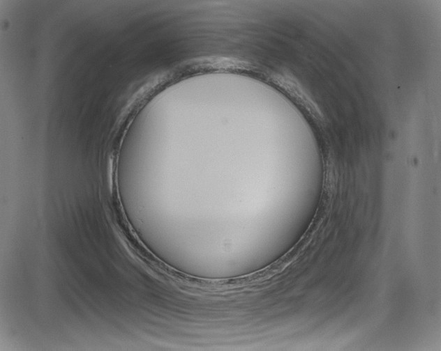 X0000083070014200702021022