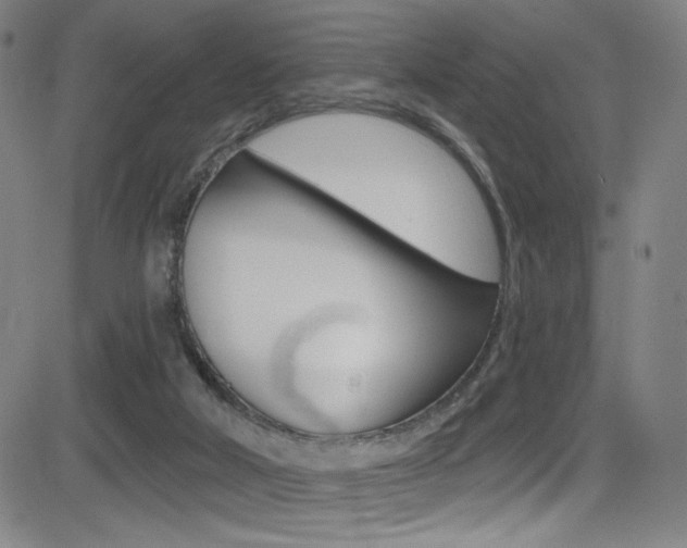 X0000083070018200702021022