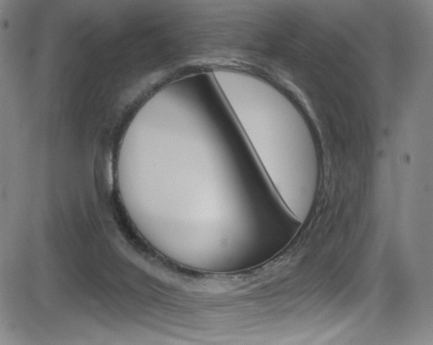 X0000083070020200702021022