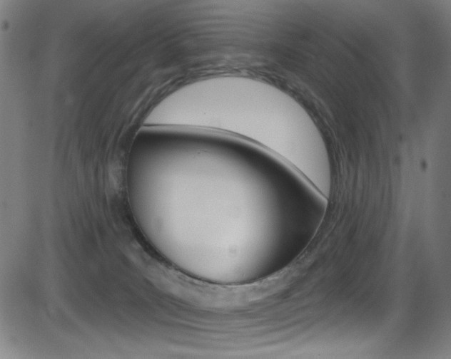 X0000083070035200702021022