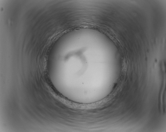 X0000083070043200702021022