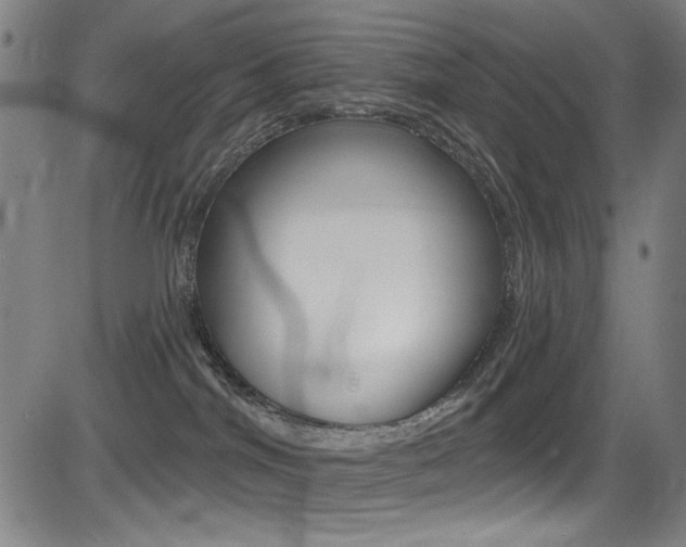 X0000083070044200702021022