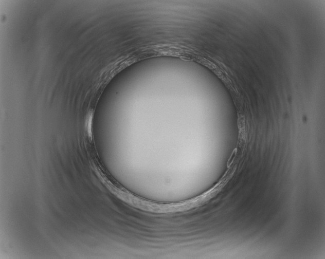 X0000083070047200702021022
