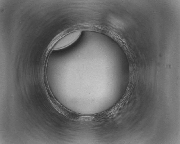 X0000083070051200702021021