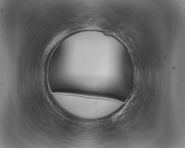 X0000083070055200702021021