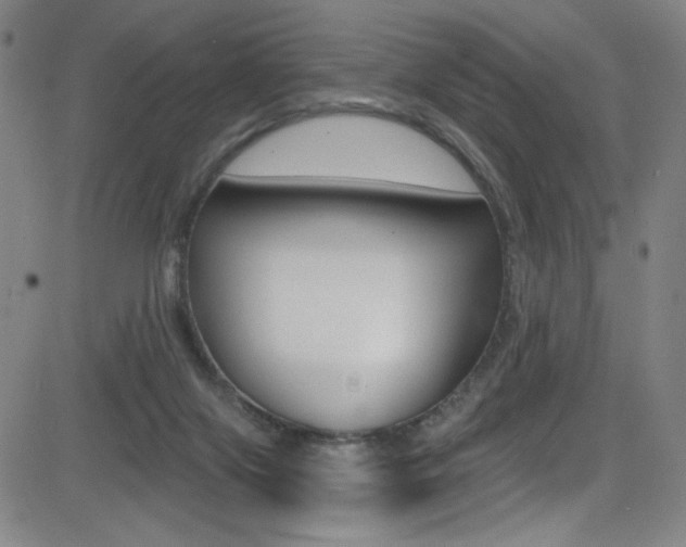 X0000083070071200702021021