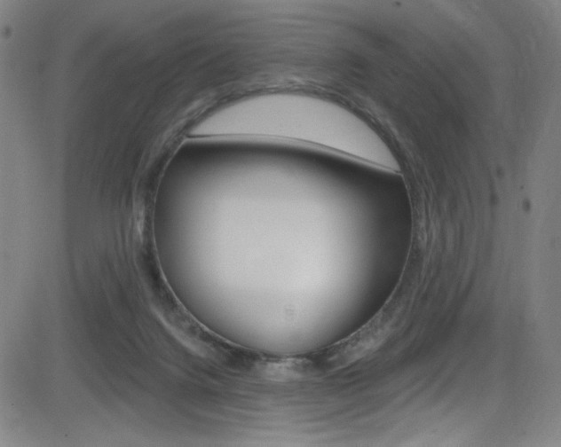 X0000083070072200702021021