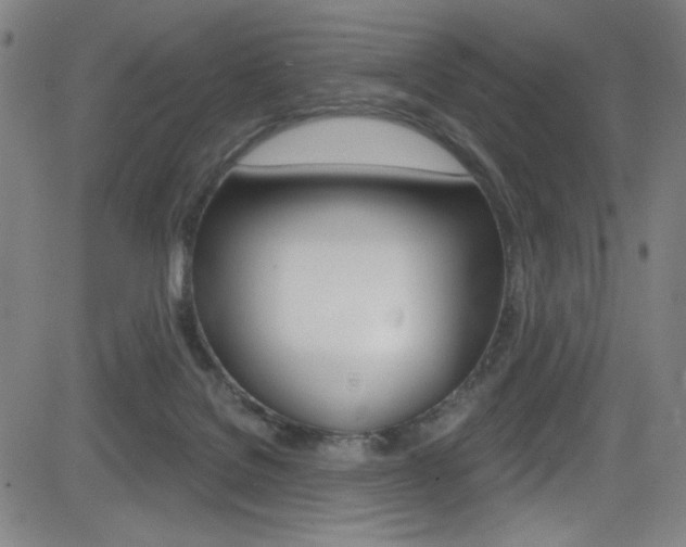X0000083070076200702021021