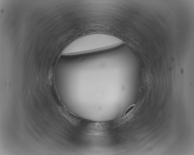 X0000083070082200702021021