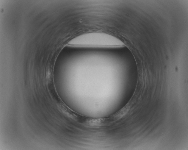 X0000083070084200702021021