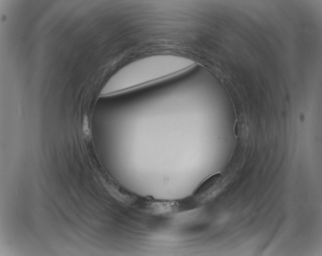 X0000083070089200702021021