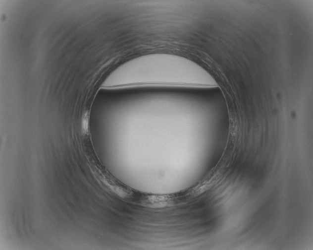 X0000083070095200702021022