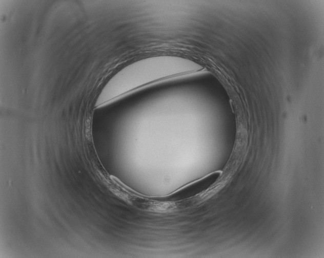 X0000083070096200702021022