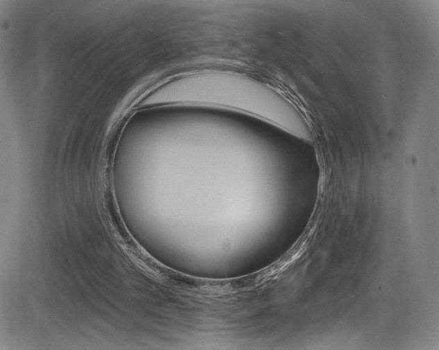 X0000083070101200702021021