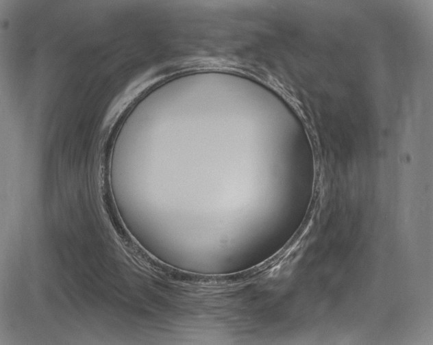 X0000083070103200702021021