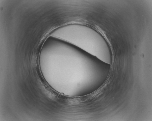 X0000083070106200702021021