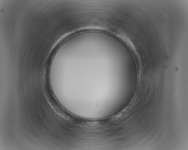 X0000083070108200702021021