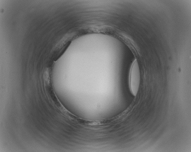 X0000083070121200702021020
