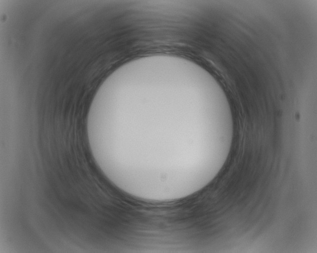 X0000083070125200702021020