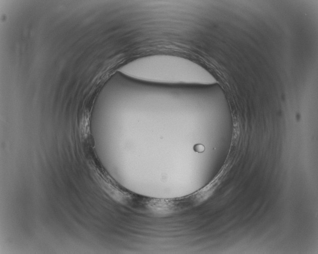 X0000083070142200702021020