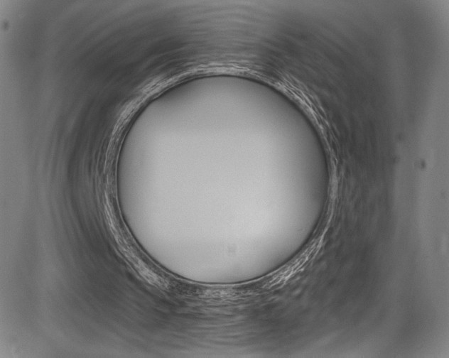 X0000083070145200702021019