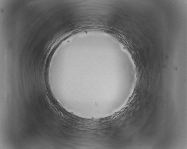 X0000083070146200702021019
