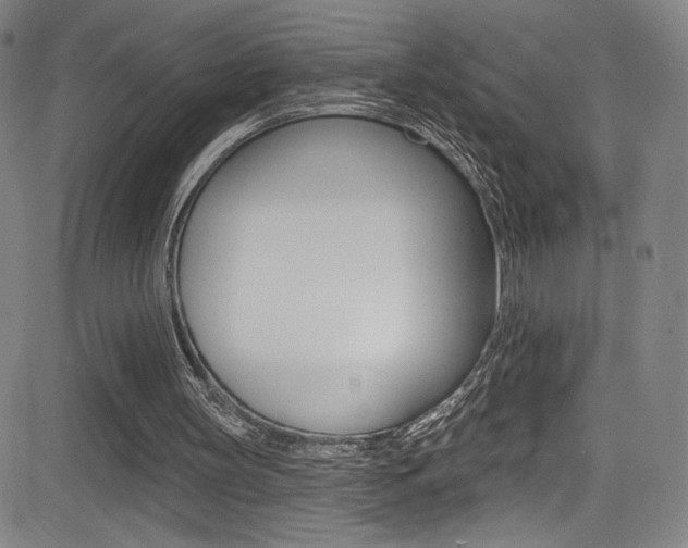 X0000083070147200702021019