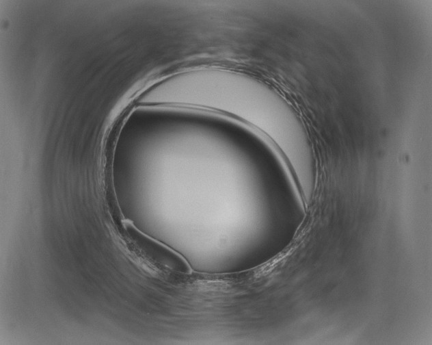 X0000083070150200702021019