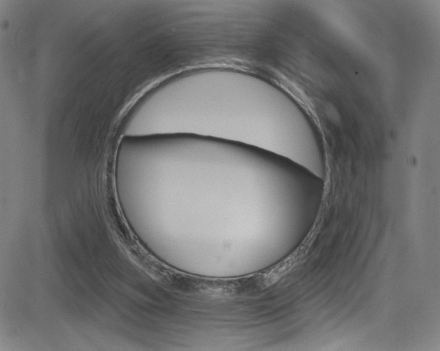 X0000083070155200702021019