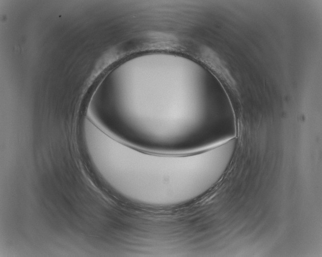 X0000083070156200702021019