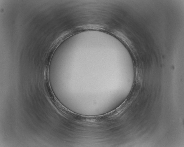 X0000083070157200702021019