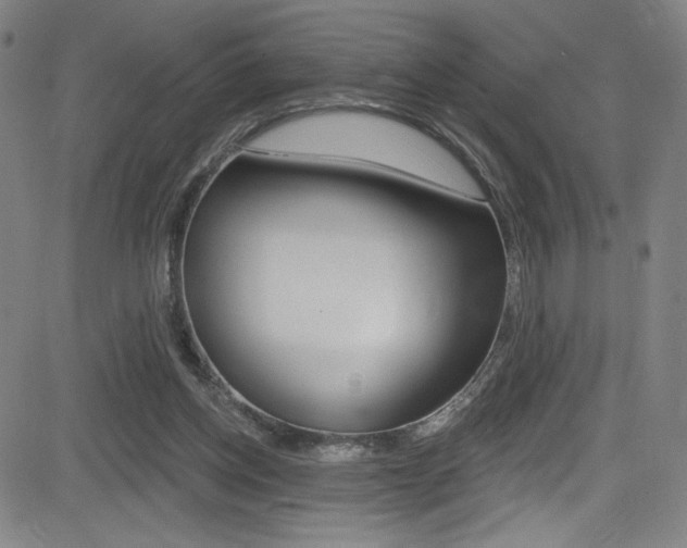 X0000083070158200702021019