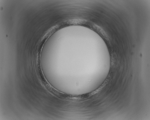 X0000083070163200702021019