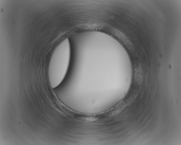 X0000083070165200702021020