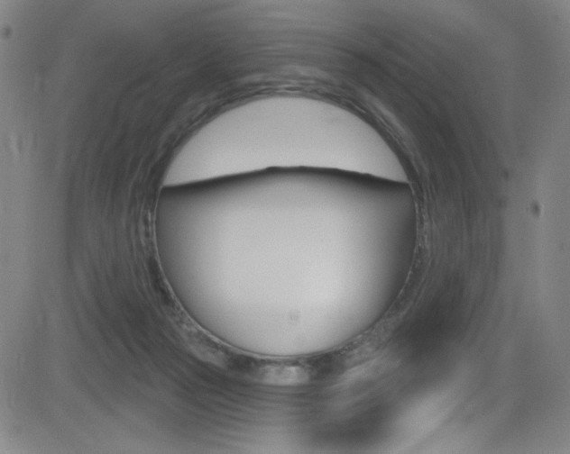 X0000083070169200702021020