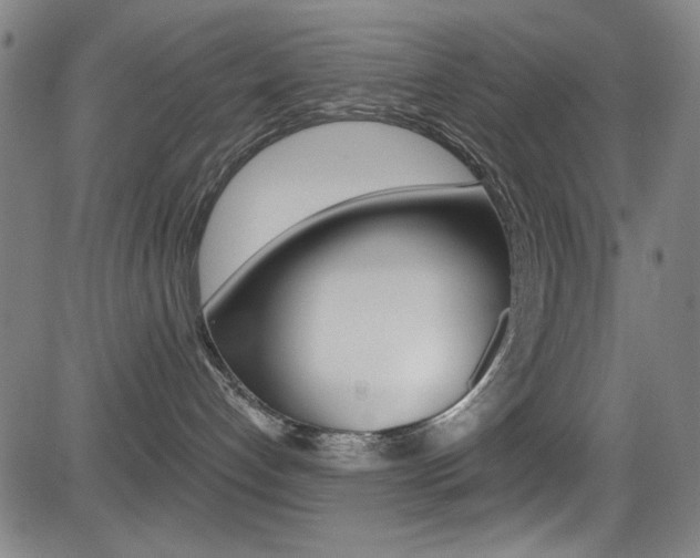 X0000083070192200702021020